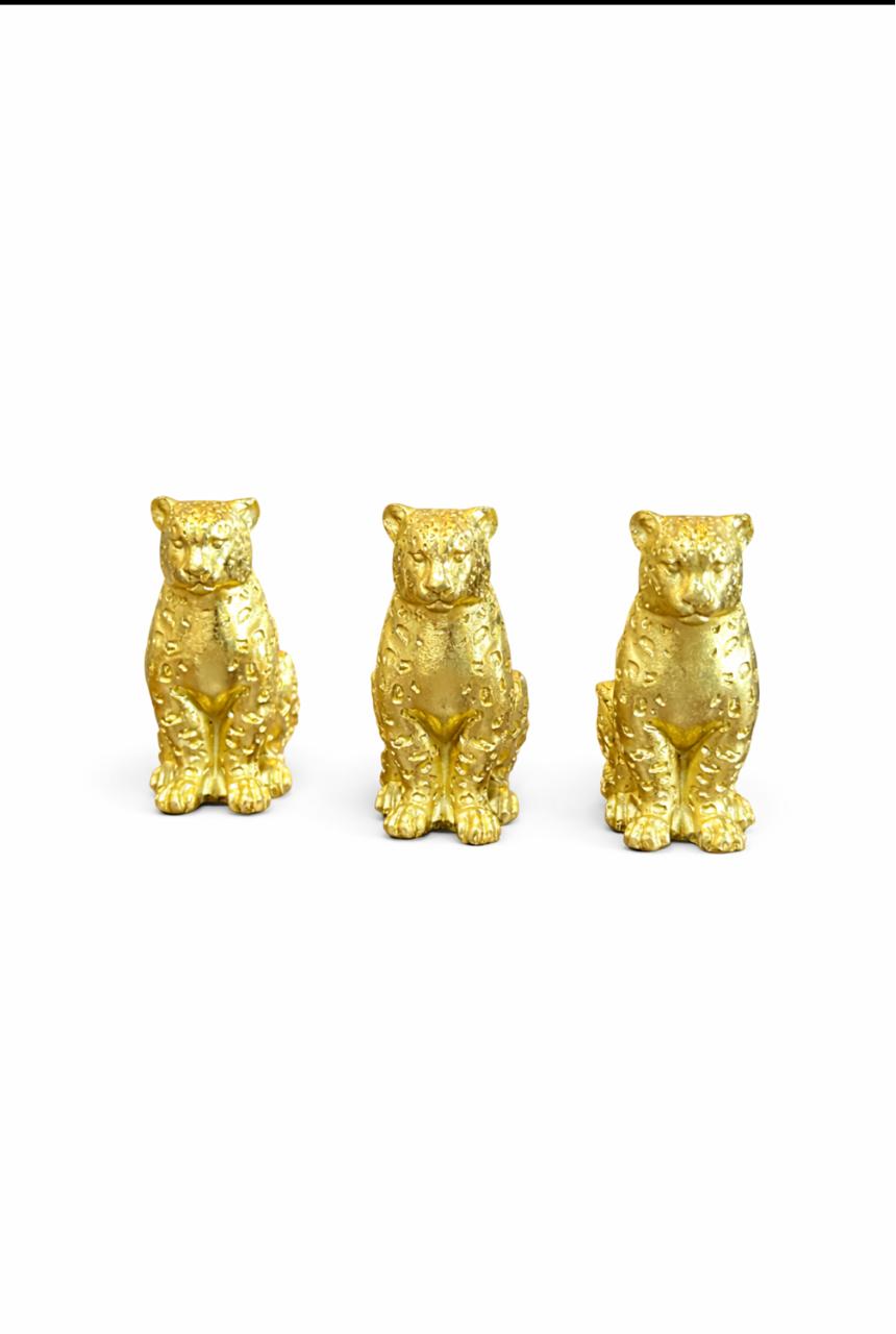 Set de Jaguares