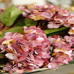 Ramo Hortensias Chépica