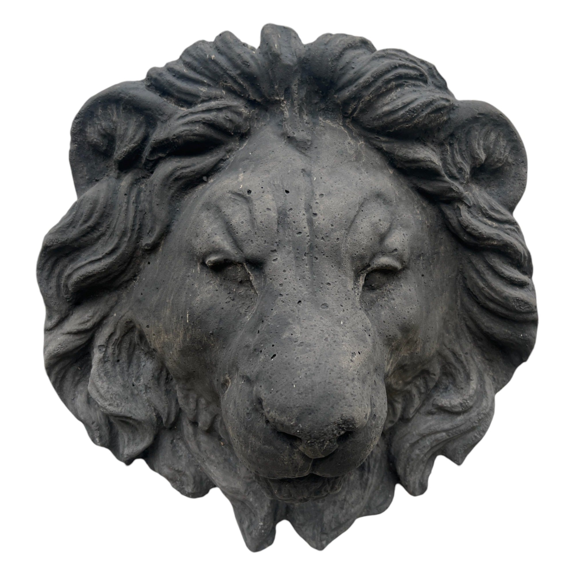 Cabeza de León Decorativa
