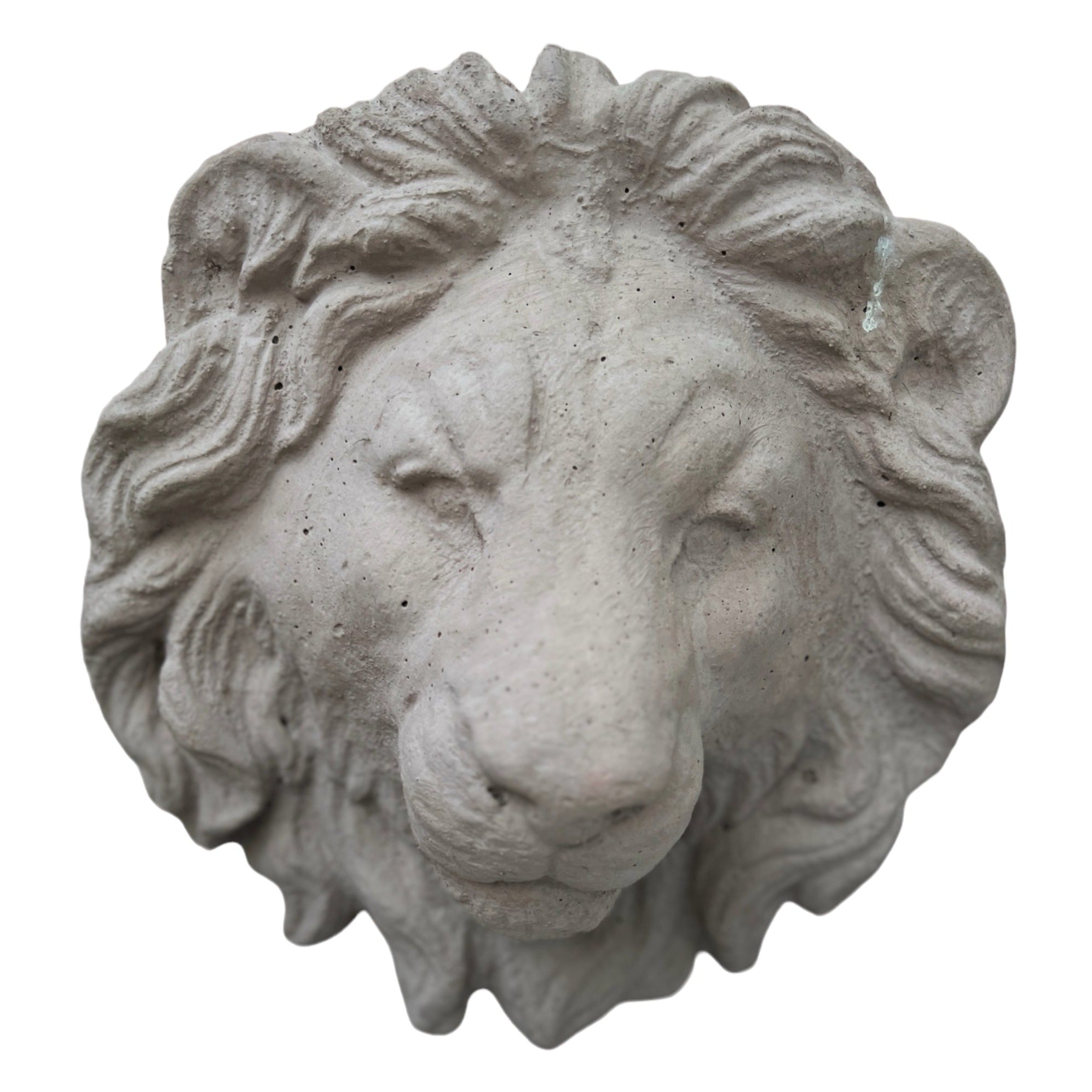 Cabeza de León Decorativa