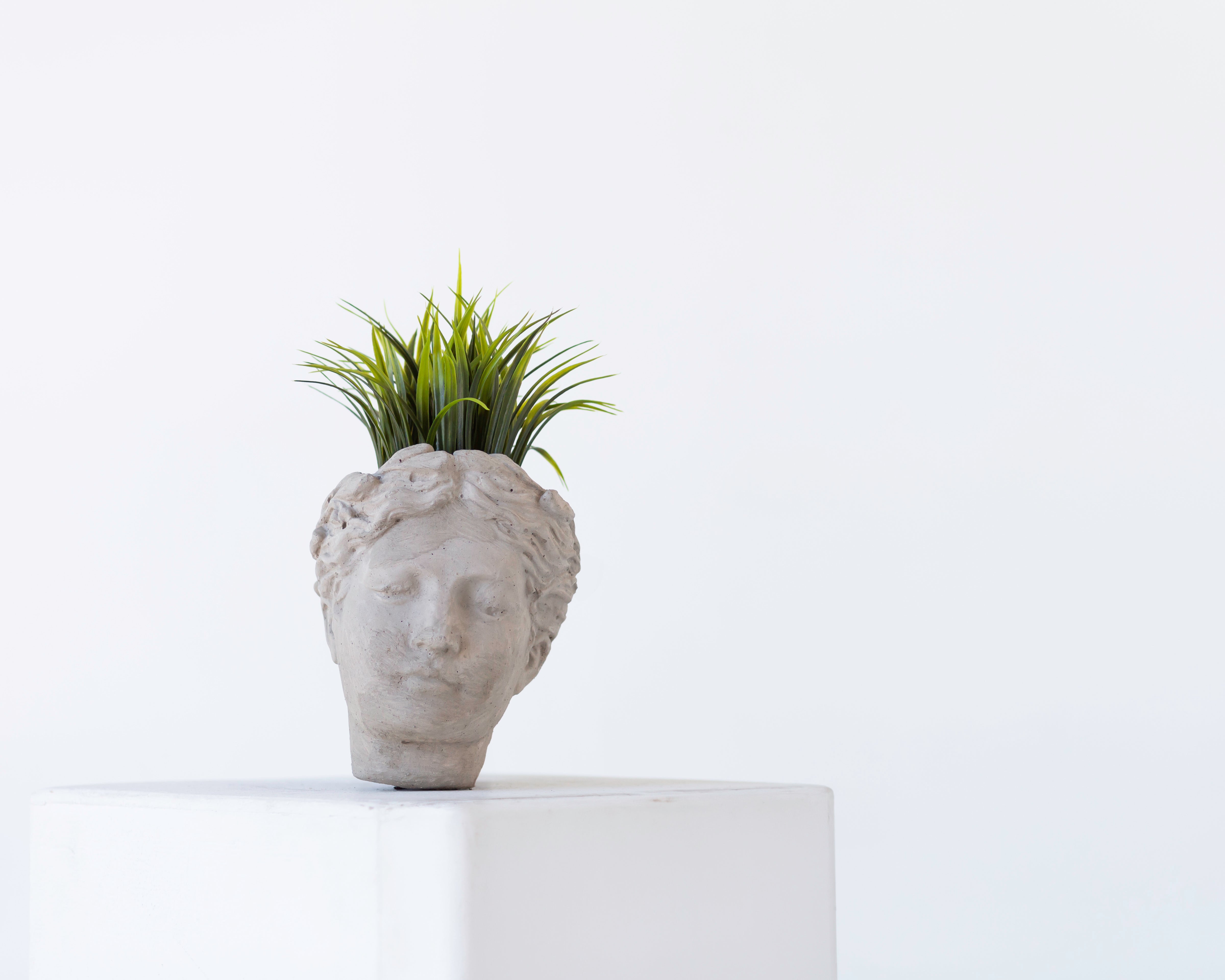 Macetero de Medusa